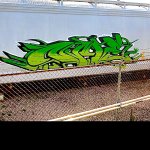 NME-green-beast-fr8.jpg