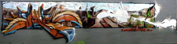HUGE_Jax_graffiti.jpg
